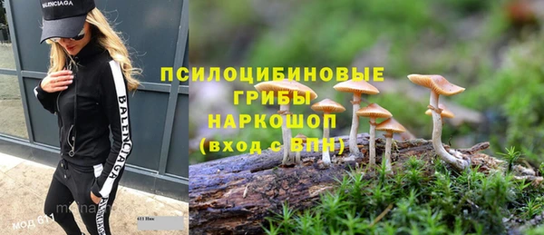 шишки Волгодонск