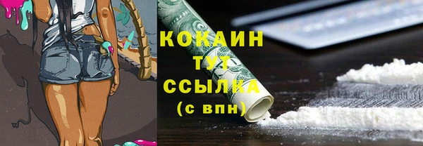 мдма Снежногорск