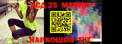 прущие грибы Кандалакша