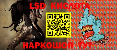 гашик Камышлов