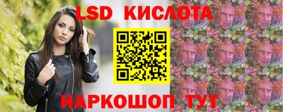 прущие грибы Кандалакша