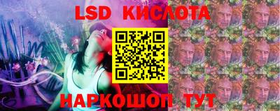 прущие грибы Кандалакша