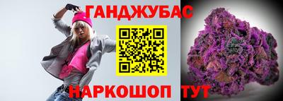 гашик Камышлов