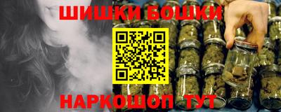 гашик Камышлов