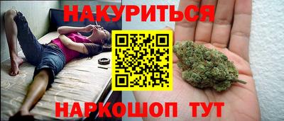 прущие грибы Кандалакша