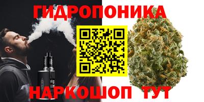 spice Канаш