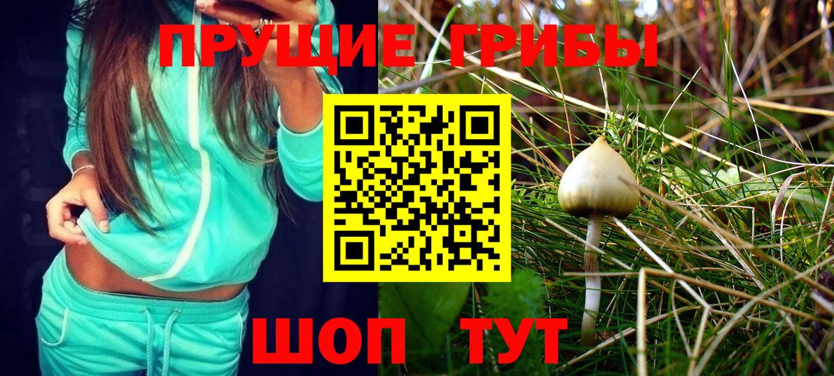 Галлюциногенные грибы Cubensis  Вход с VPN  Троицк 