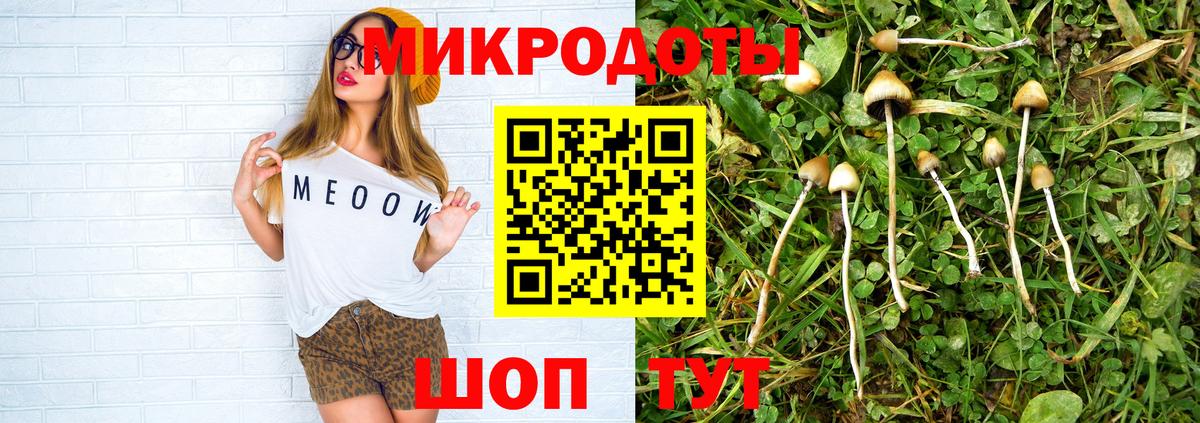 Псилоцибиновые грибы GOLDEN TEACHER Троицк